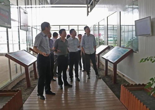 光明食品集團深入調研星輝蔬菜產業發展，助力市場戰略優化
